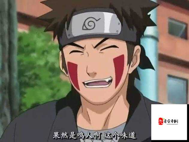 犬冢牙的得力伙伴，揭秘赤丸的非凡之处