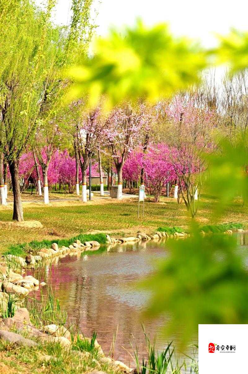 春天里最动人的风景：那些在春光中绽放的美好与希望