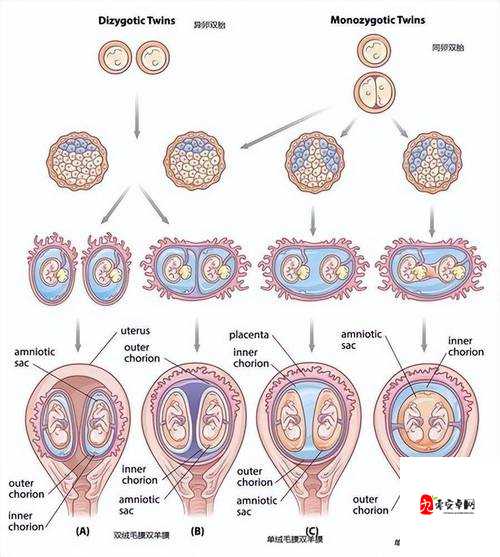 精产一二三产区区别在哪：详细解析与全面对比分析