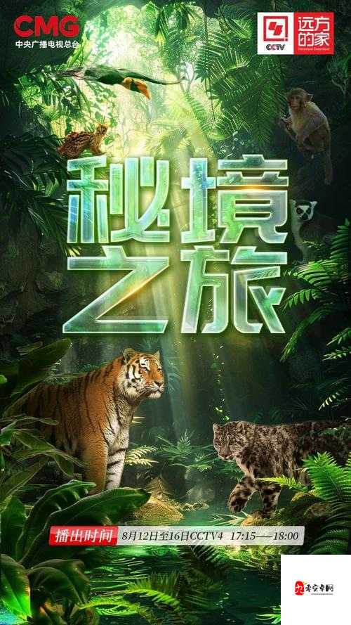 神秘秘密网站入口：带你探索未知世界的奇幻之旅