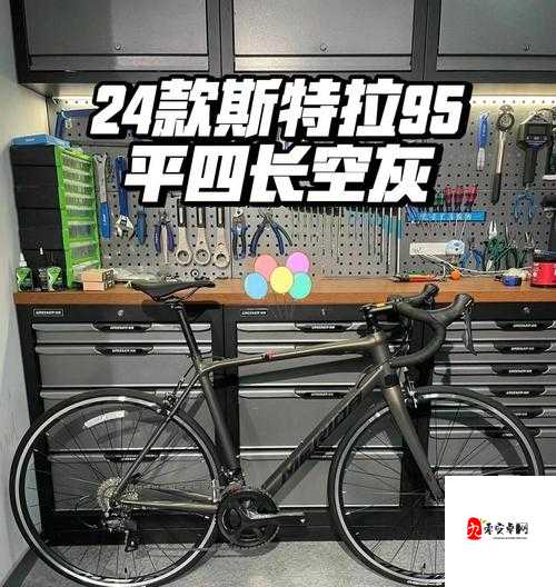 欧版与亚洲版 AGV 尺寸对比：差异与特点