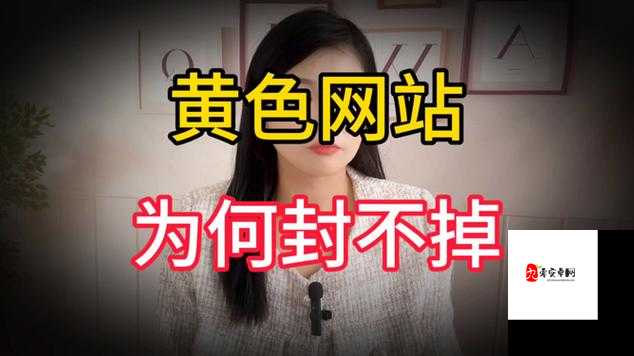 最新黄色无码视频：全程高能，极度刺激