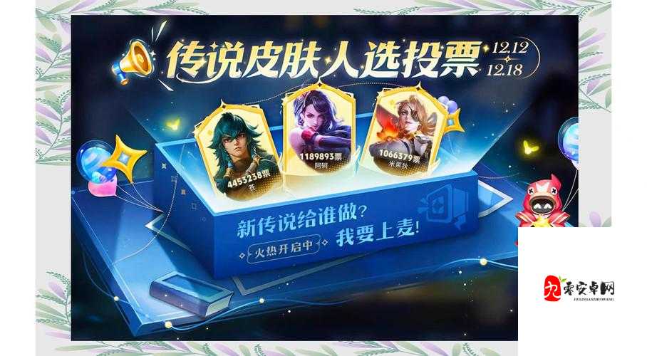 王者荣耀投票在哪，资源管理中的关键角色与高效利用策略