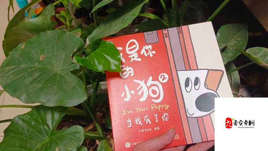 我愿做你的小狗狗是什么歌及其资源管理应用