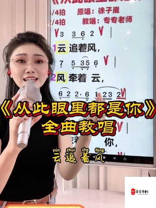 我看着你的眼睛是什么歌，深入解析、管理技巧与价值最大化