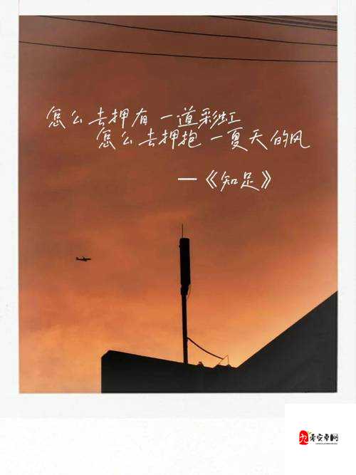 怎么去拥有一道彩虹是什么歌，在资源管理中的隐喻与策略