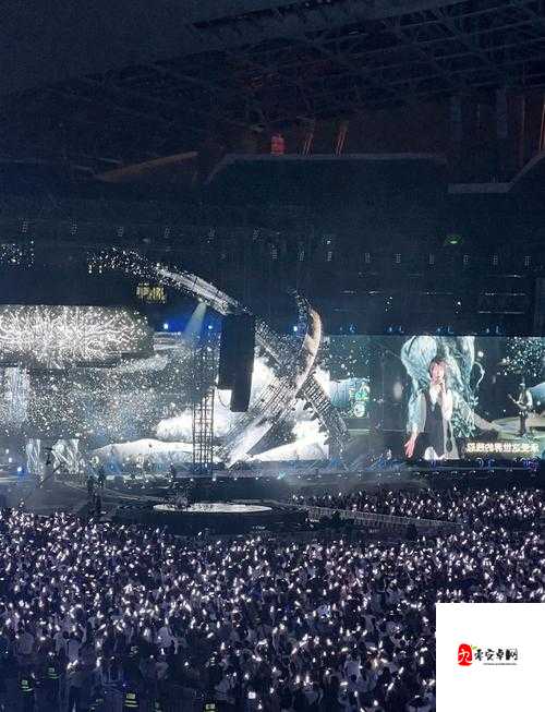 夜月 WWW 直播免费看在线：一场视觉与听觉的盛宴