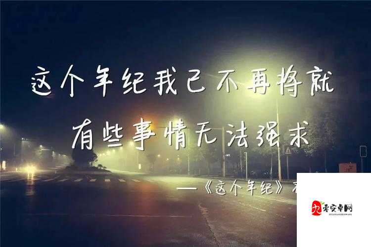 我在无人的街头想念着某某什么歌，在资源管理中的重要性、技巧、避免浪费及价值最大化