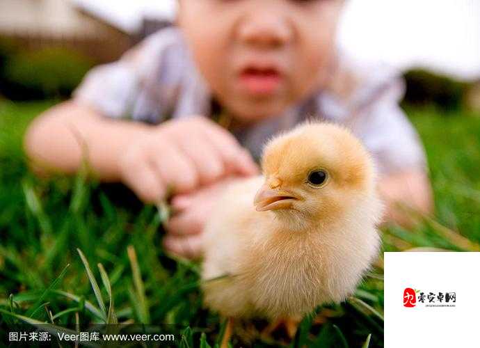 小鸡宝宝考考你，黄河的终极归宿——渤海之谜