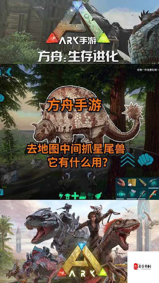 方舟生存进化棘背龙鞍的重要性与高效利用