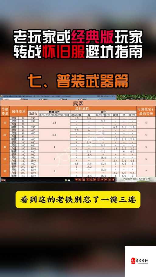 怀旧服法师学什么专业，资源管理、高效利用与价值最大化