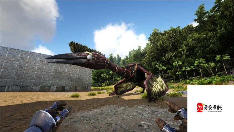 方舟手游风神翼龙怎么训