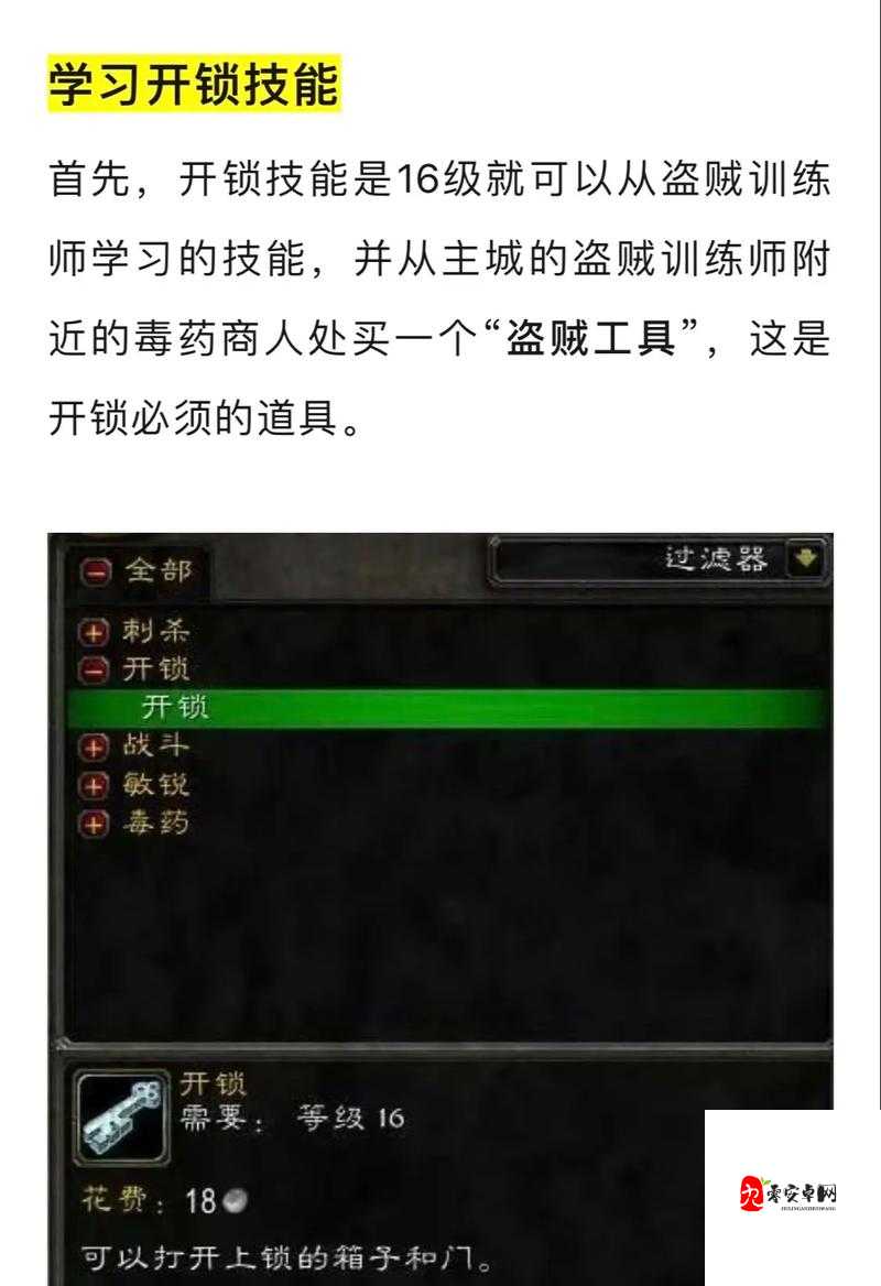 怀旧服盗贼，专业选择的艺术与策略