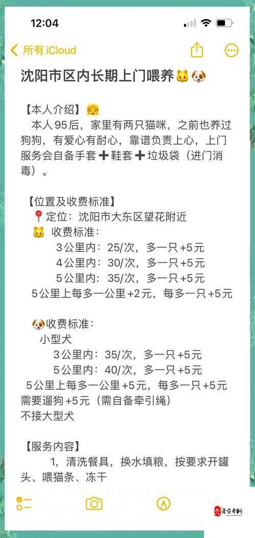 怀旧服宠物怎么喂，资源管理、高效技巧与避免浪费的全面指南