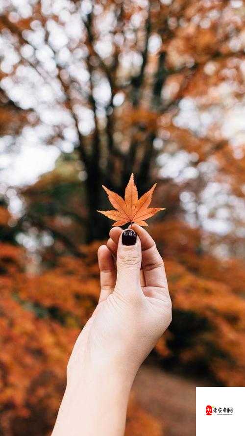 我们就像没分开过，重复着彼此的生活——探寻影子习惯背后的情感共鸣