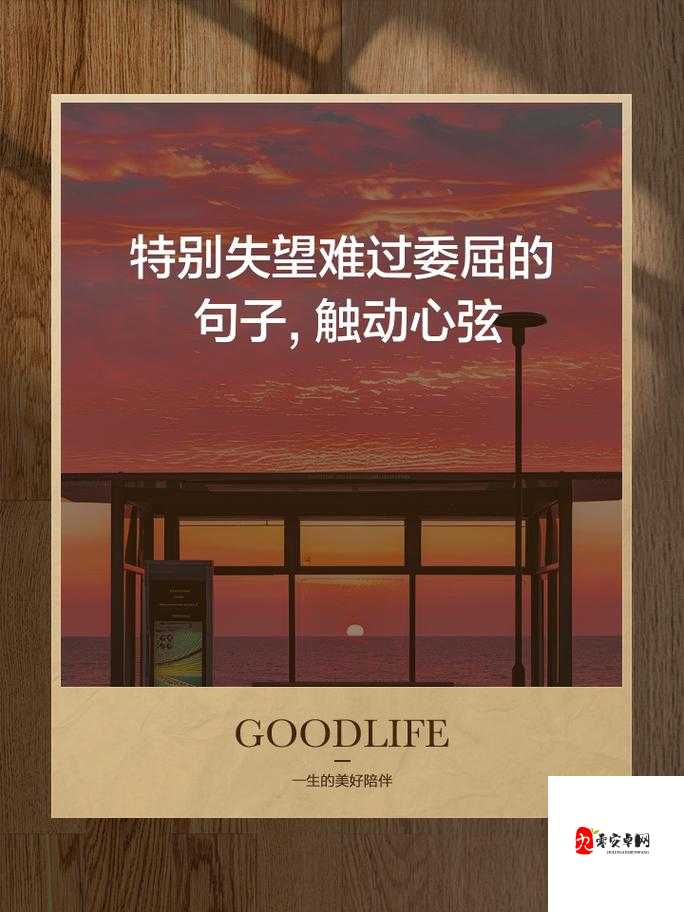 并不是我要刻意的难过，这句歌词触动心弦