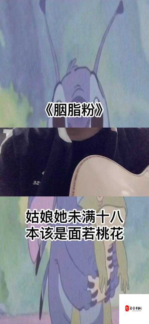 姑娘她未满十八是什么歌，资源管理、高效使用与避免浪费的全面解析