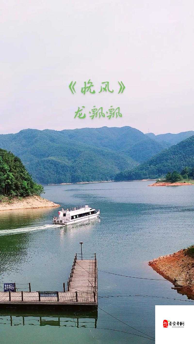 晚风轻拂澎湖湾的歌名在资源管理中的重要性及其高效应用