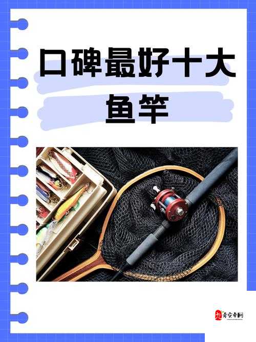 伊洛纳鱼竿在哪买，资源管理中的智慧与策略