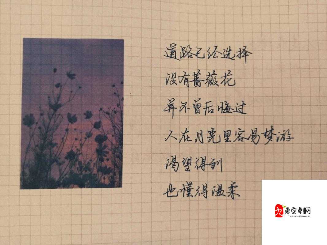 书里总爱写到喜出望外的傍晚是什么歌，在资源管理中的隐喻与策略