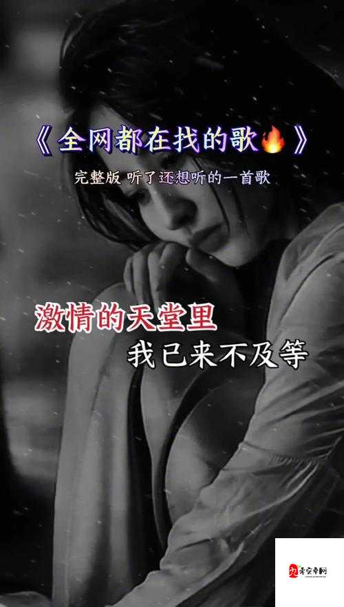 我随时可能走掉的旋律，那首触动心灵的歌