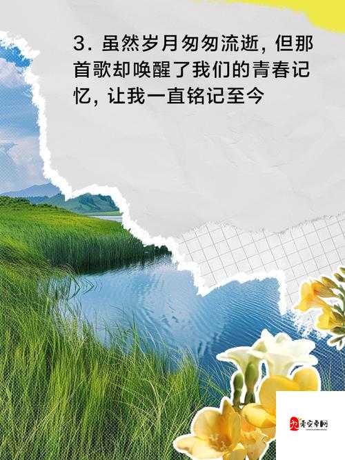 追着风追着风——那首唤醒青春记忆的歌