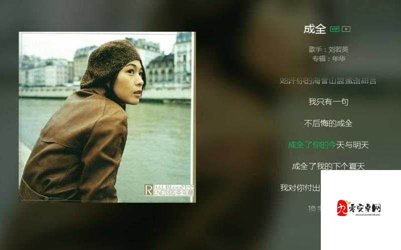 我对你付出的青春这么多年什么歌？在资源管理中的重要性及高效利用策略