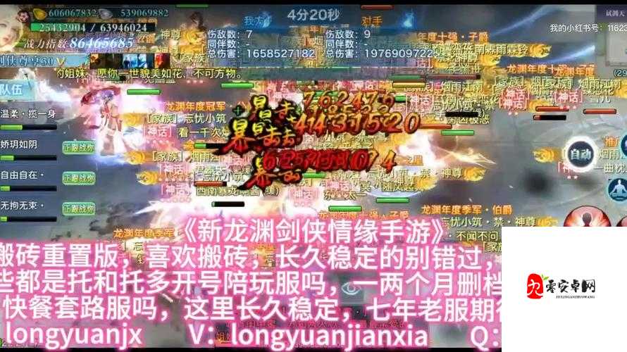 暴走大侠组队秘籍，携手好友，共闯难关