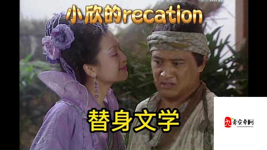 在你眼中我是谁你想我代替谁，资源管理中的隐喻与策略