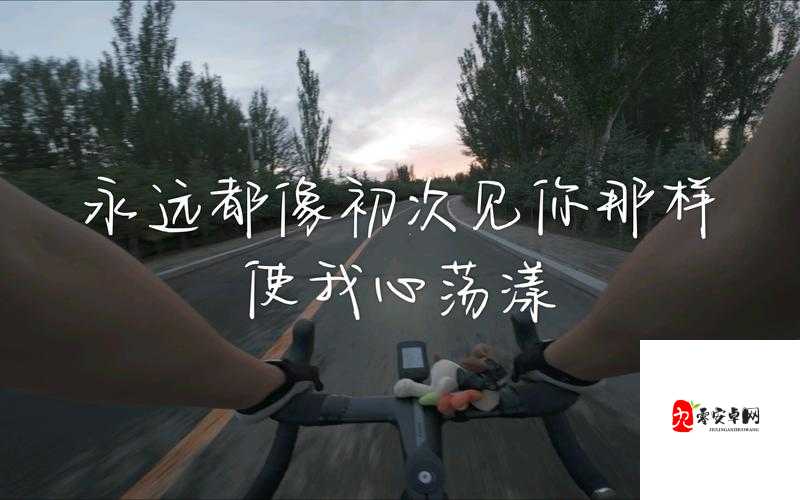 我永远保护你是哪首歌的深情告白？