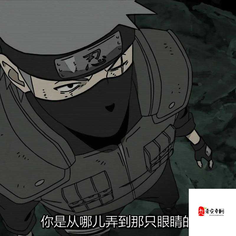 帕克——卡卡西的忠诚忍犬，资源管理、高效利用与避免浪费的全面解析