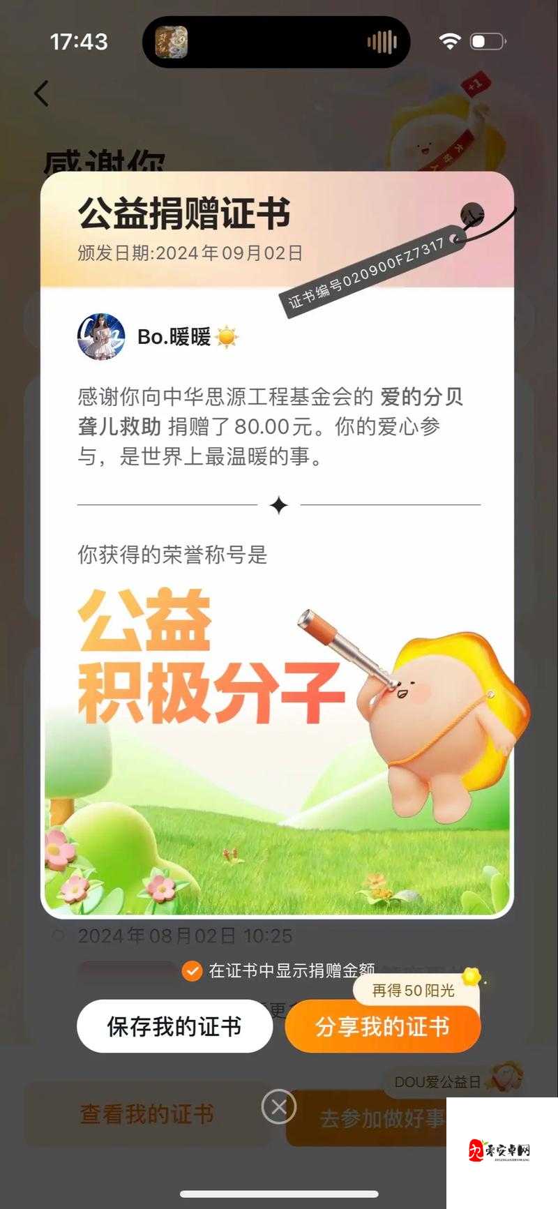 爱心捐赠平台中的听障儿童援助项目及其高效管理