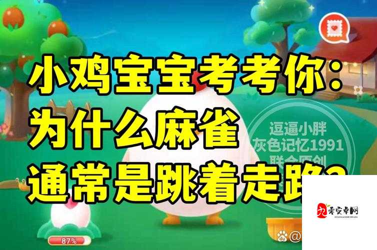 小鸡宝宝考考你，江西省的简称是？在游戏资源管理中的深度探索