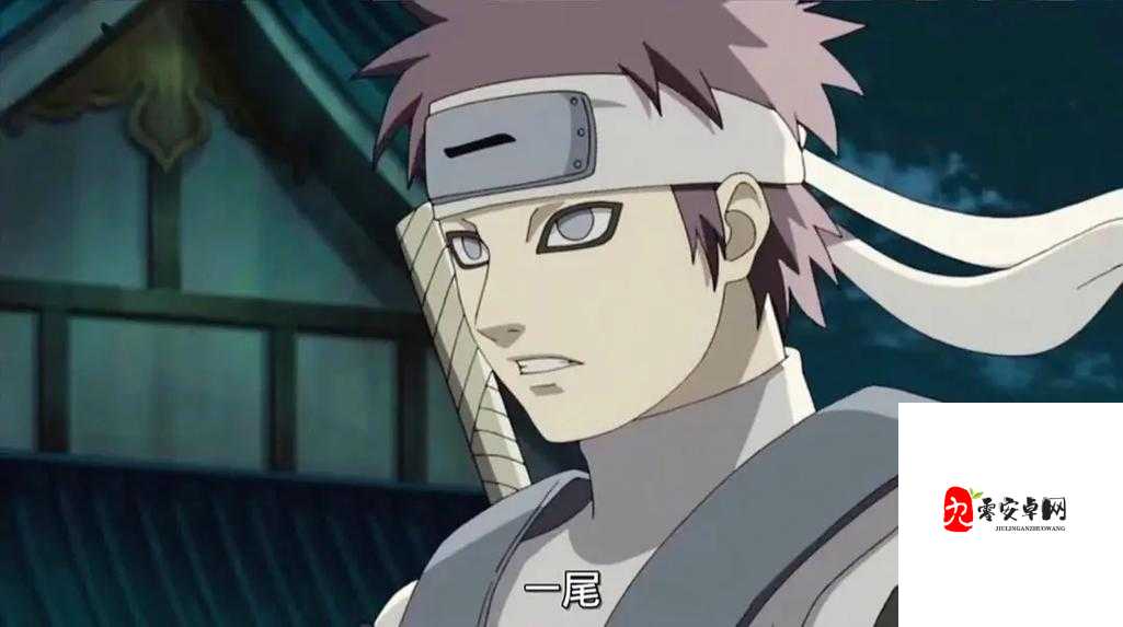 揭秘火影世界，曾是九尾人柱力的传奇英雄