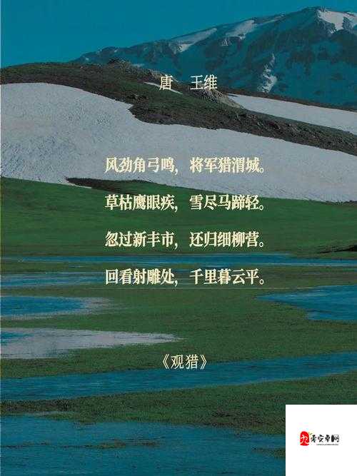 花与剑柳鹰泽寻觅记，长安梨花台的奇遇