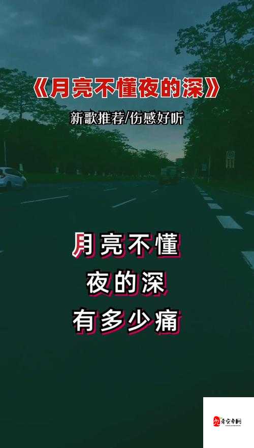深夜辗转，这首歌是否触动你的心弦？