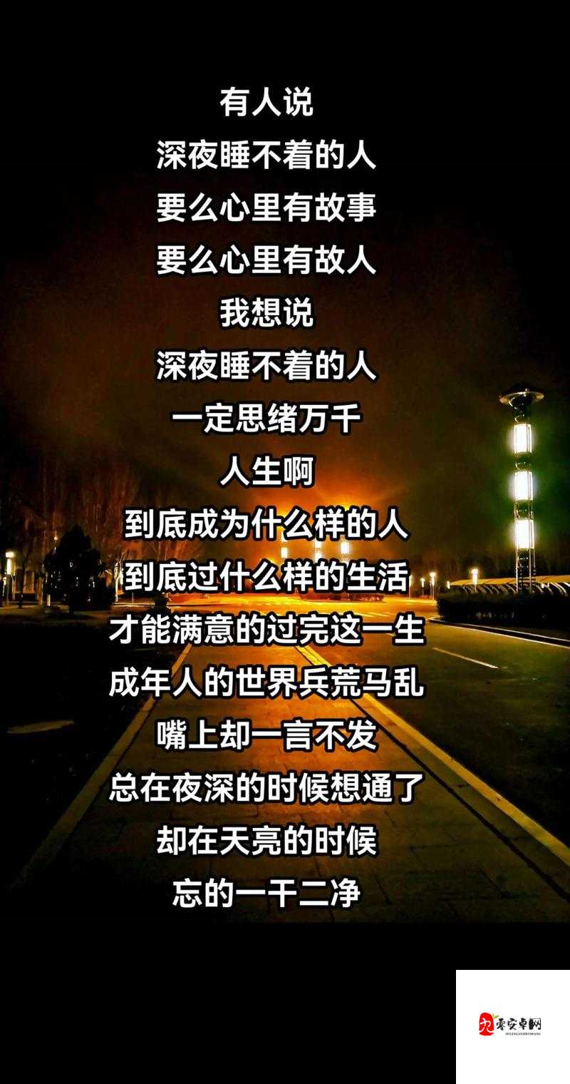 又是一个睡不着的夜晚是什么歌及其资源管理探析