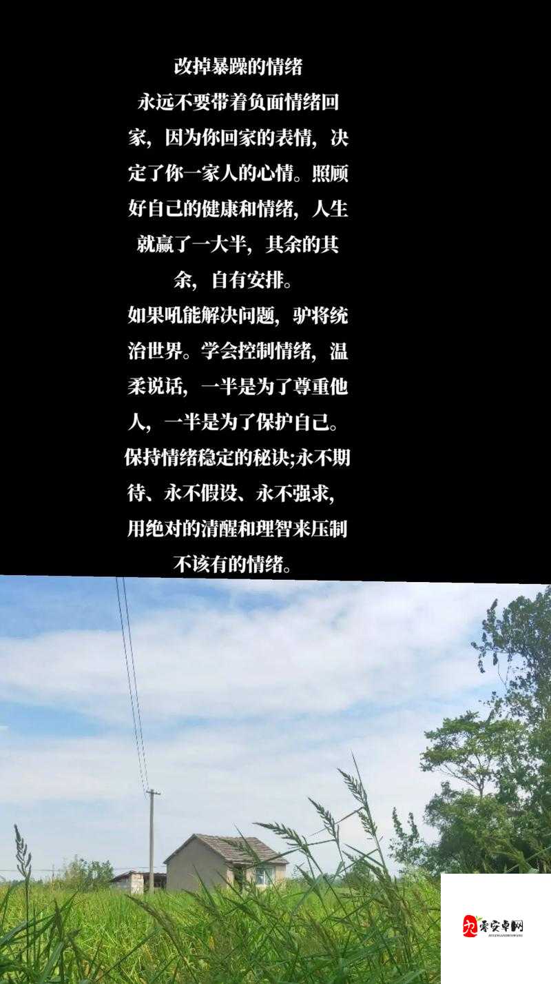 心里的花我想要带你回家什么歌，资源管理、高效利用与价值最大化