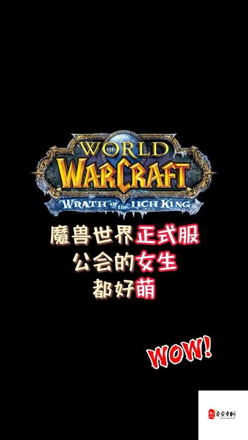 魔兽世界怀旧服，从零开始，打造你的公会传奇
