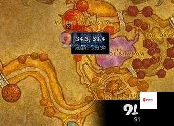 魔兽世界怀旧服空瓶哪里买，资源管理中的智慧与策略