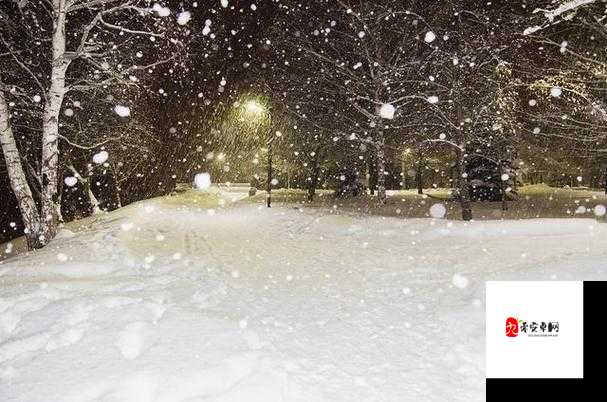 我慢慢的听雪落下的声音，这首触动心灵的歌究竟是何方神圣？