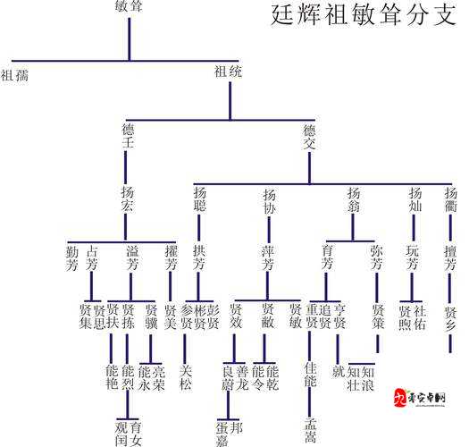 千代婆婆的孙子是谁？——深入解析、高效管理与价值最大化