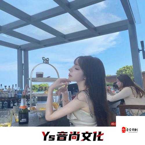 我向你飞雨温柔的坠是什么歌，解析、管理与价值最大化