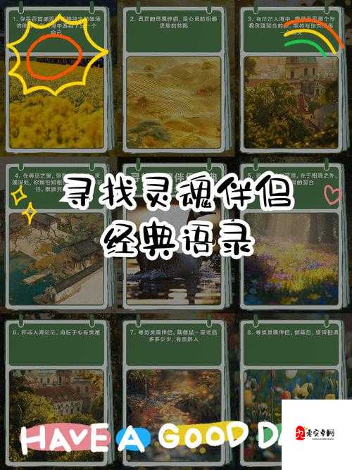 奶茶之约，寻找那个共饮的灵魂伴侣