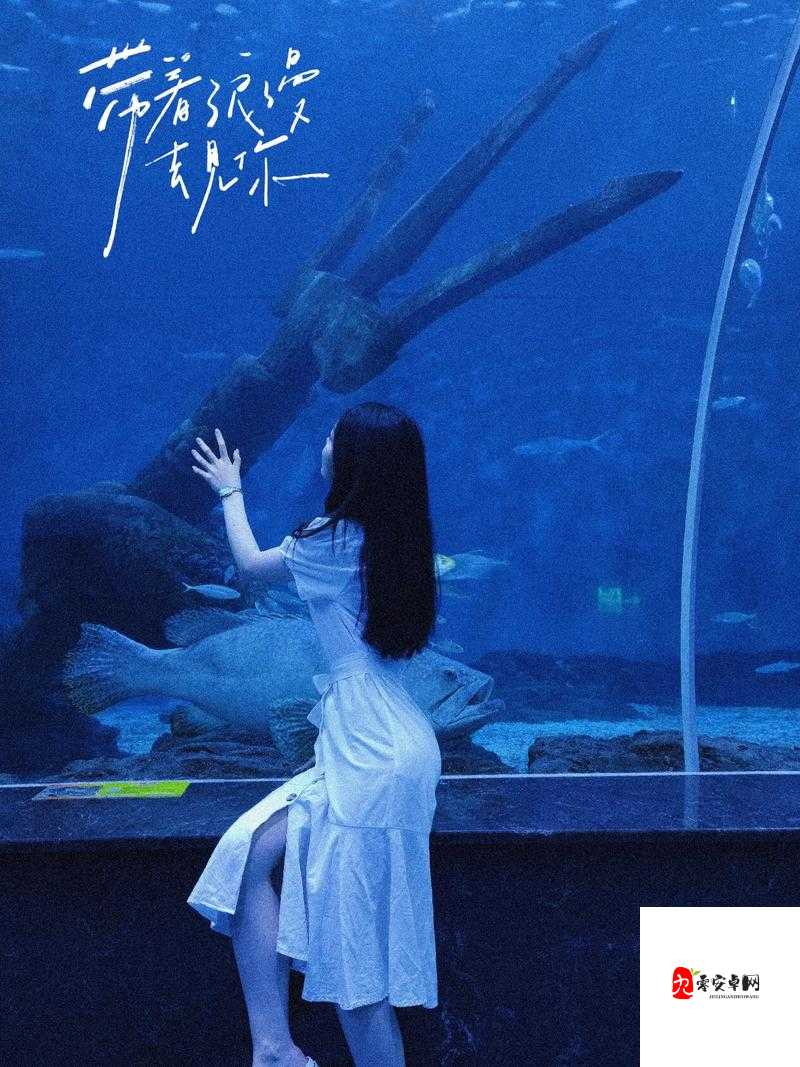 林深时见鹿，海蓝时见鲸，梦醒时见你，图片资源管理的艺术