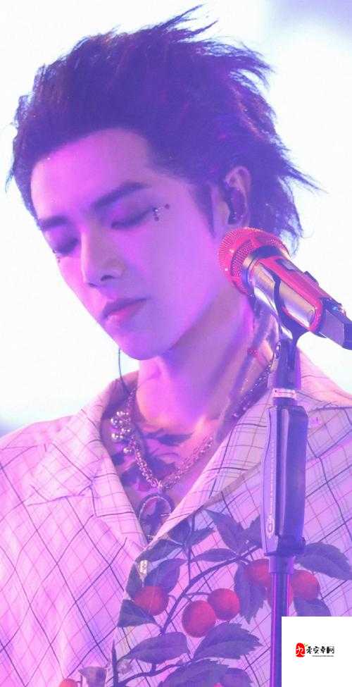 华晨宇壁纸，解锁你的音乐视觉盛宴