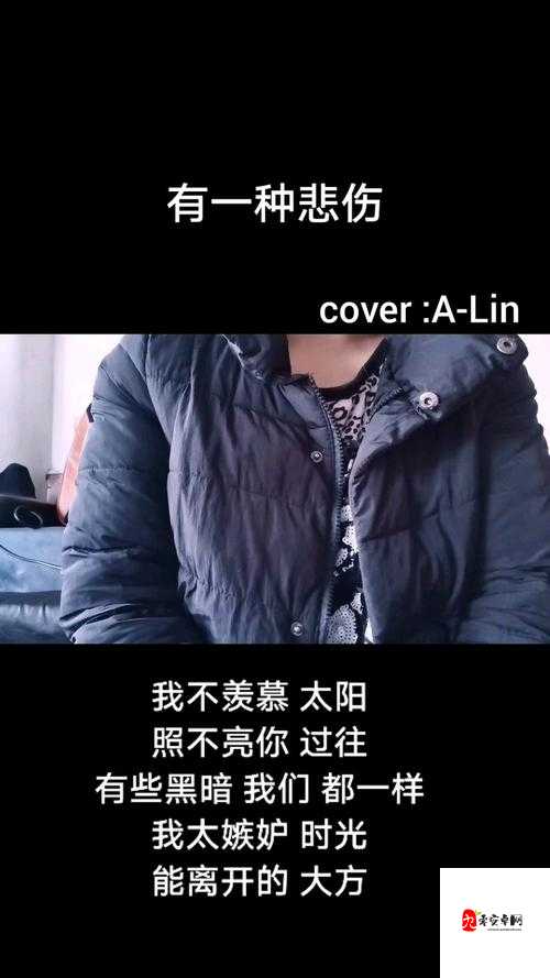 我不羡慕太阳是什么歌的深度解析与资源管理应用