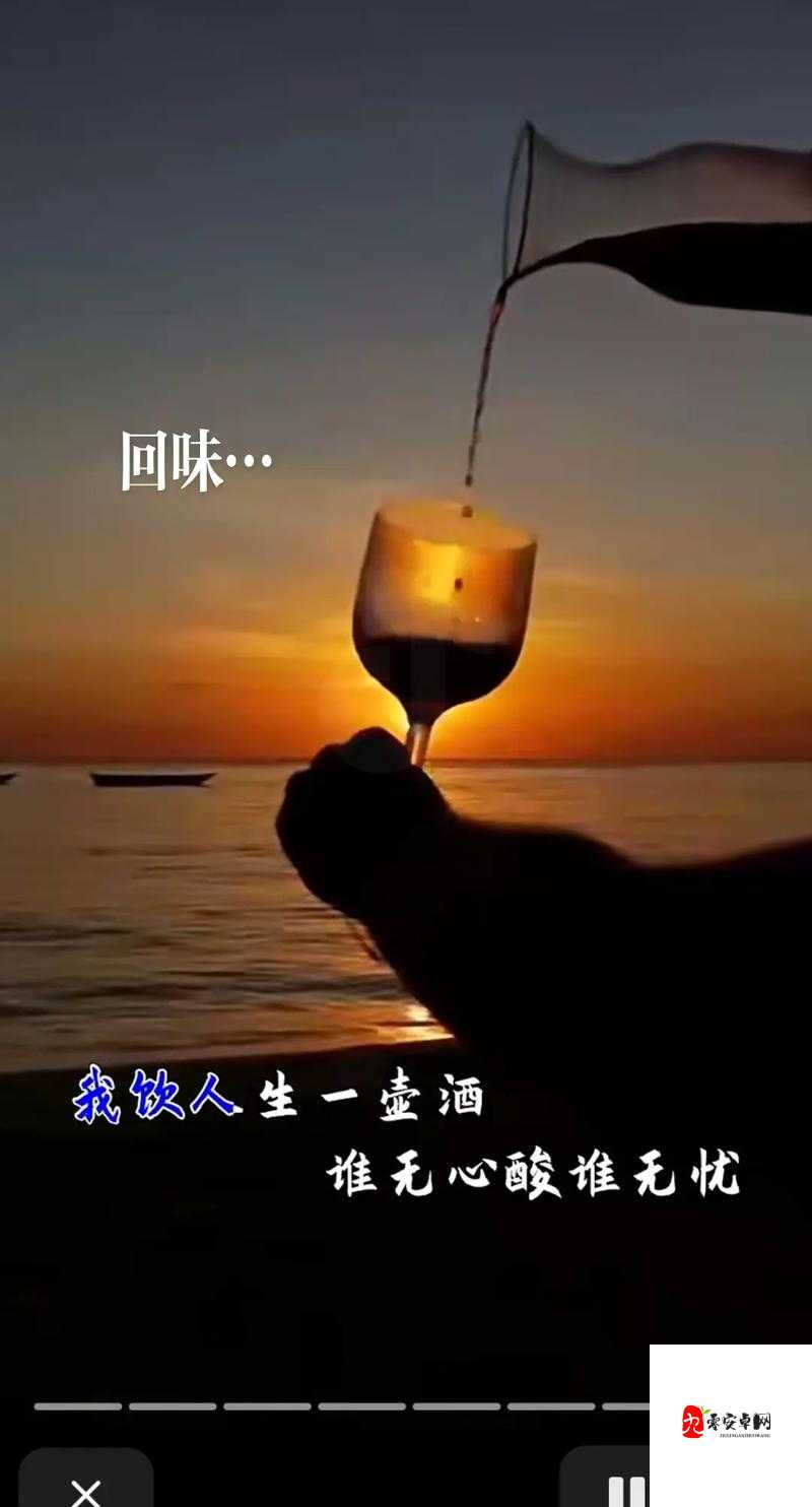 抖音敬自己十杯酒文字，资源管理的新视角与实践