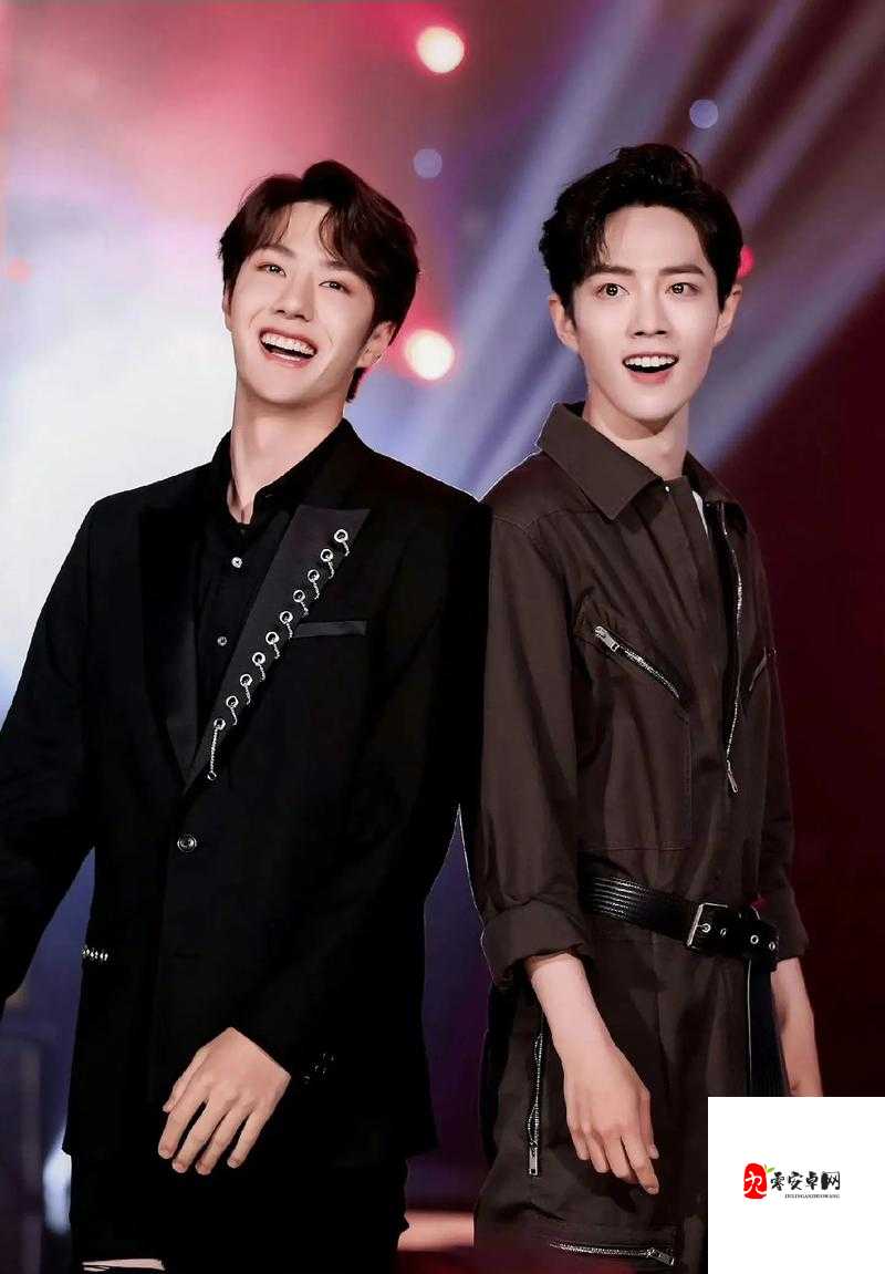 肖战王一博图片，解锁娱乐圈的颜值密码