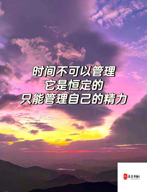 谁要理她原版探析，资源管理、高效利用与避免浪费